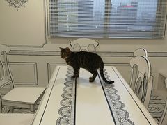 -白夜2D咖啡馆