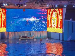 -海合安青岛极地海洋公园