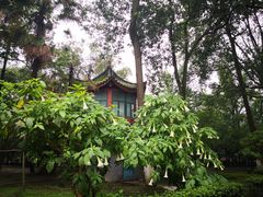 -四川大学(华西校区)