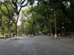 -江心屿景区