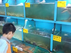 -食鼎记海鲜大排档(美食街店)