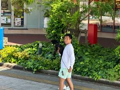 -台场海滨公园船码头