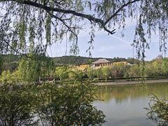 -黄帝陵