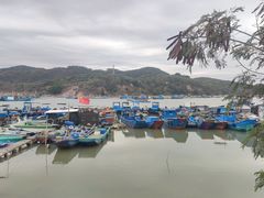 -西澳岛