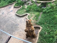 -无锡动物园·太湖欢乐园