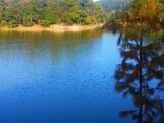 android_upload_pic-广州市石门国家森林公园