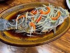 清蒸裸鳞鱼-乡土特色.冷锅鱼.牦牛肉汤锅