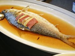 酒香蒸鲥鱼-HOMES上海本帮菜(襄阳公园店)