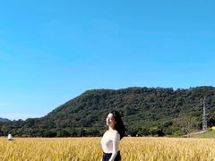 -风云岭森林公园