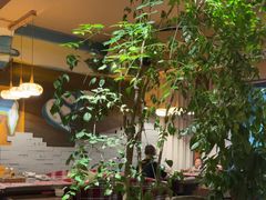 -慢丽江·云南野生菌土鸡锅(付家庄店)