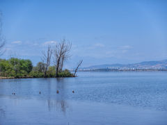 -西昌邛海湿地