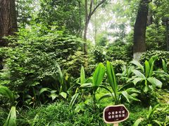 -成都市活水公园