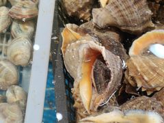 -和源祥·日照菜扛把子(万平口一店)