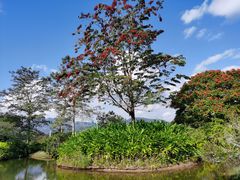 -中国科学院西双版纳热带植物园