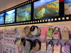 -飞览天下沉浸式飞行体验(北京旗舰店)