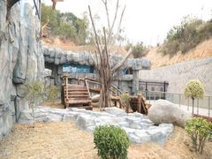 -泉州海丝野生动物世界