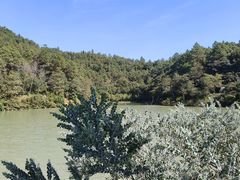 -广州白江湖森林公园