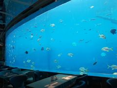 -瑞德姆美人鱼海底演艺主题餐厅(亚龙湾店)