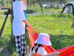 -春花秋色城市公园