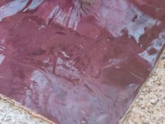 -春晖园度假酒店温泉