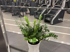 -OXYGYM 奥美氧舱运动中心(朝阳大悦城店)