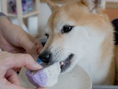 -老外街