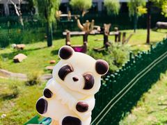 -沈阳森林动物园