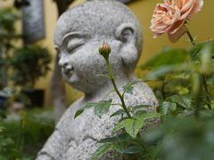 -常州天宁禅寺