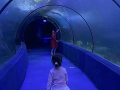 -左海海底世界