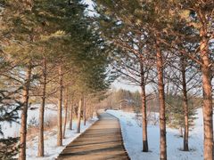 -北极村旅游风景区