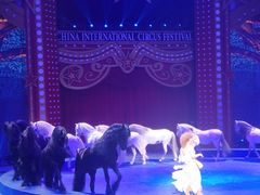 -珠海横琴长隆《卡卡虎奇遇记》