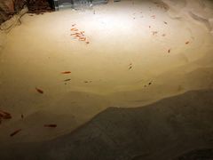 -上海苏航生活广场