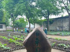 -绍兴鲁迅故里·沈园景区