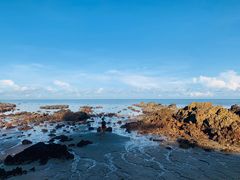 -海南棋子湾开元度假村·祺咖啡自助餐厅