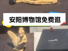 -安阳博物馆