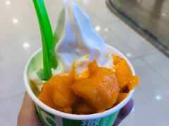 -Salud撒露欧洲冻酸奶(蓝色港湾店)