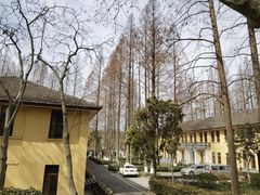 -T80科技文化国际社区-停车场