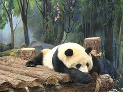 -杭州动物园