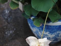 -西安市广仁寺