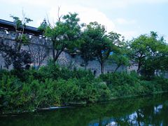 -观潮胜地公园