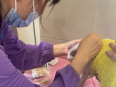 -北京观赏动物医院·24小时大型综合·猫专科·异宠专科