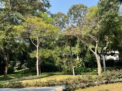 -炮台山公园