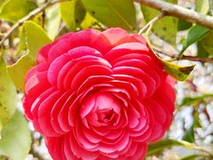 -楠溪江风景名胜区