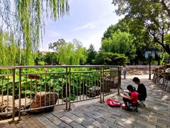 -黄村公园