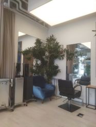 -Hair  Gallery