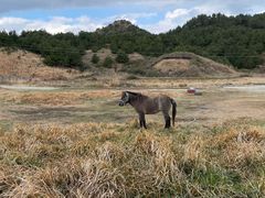 -松岳山