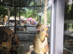 -长白岛森林公园