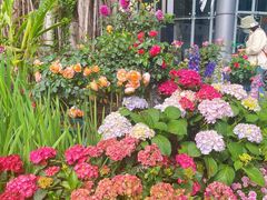 -人民公园(罗湖区)