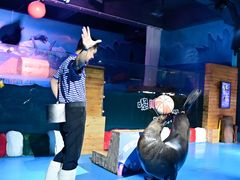 -顺德南宏海立方海洋公园