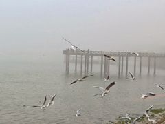 -日照世帆赛基地